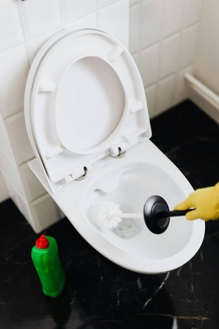 Best Septic Safe Toilet Cleaner for Your Home